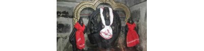 திருப்புலிவனம்